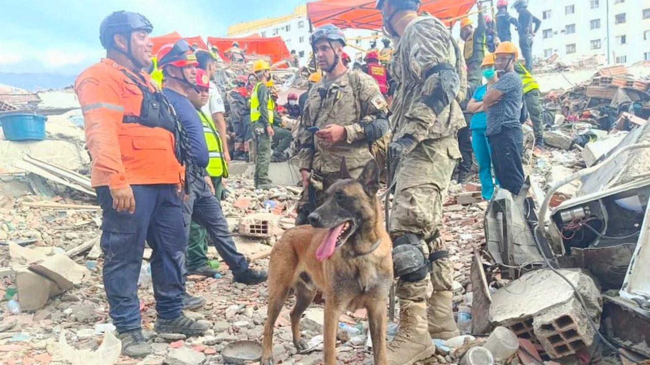 La misioacuten humanitaria argentina rescatoacute a dos menores de entre los escombros en Venezuela