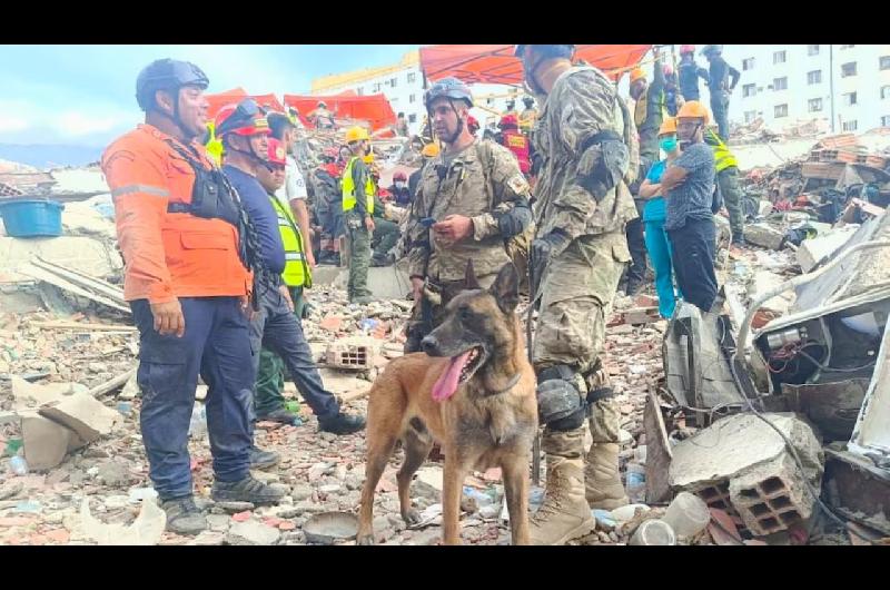 La misioacuten humanitaria argentina rescatoacute a dos menores de entre los escombros en Venezuela