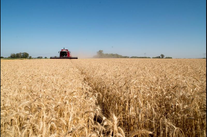 Fuerte crecimiento de la actividad agropecuaria en mayo- cuaacutento avanzoacute en cada sector