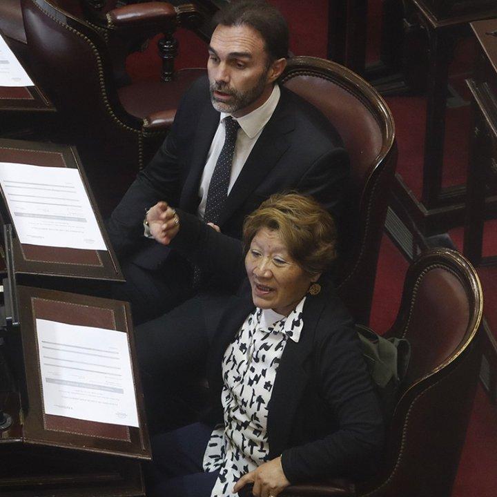 Por un amparo del PJ la Justicia anuloacute la actual conformacioacuten de la comisioacuten bicameral del Defensor del Nintildeo