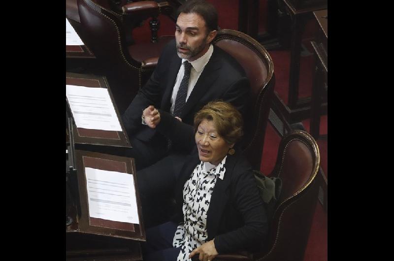 Por un amparo del PJ la Justicia anuloacute la actual conformacioacuten de la comisioacuten bicameral del Defensor del Nintildeo