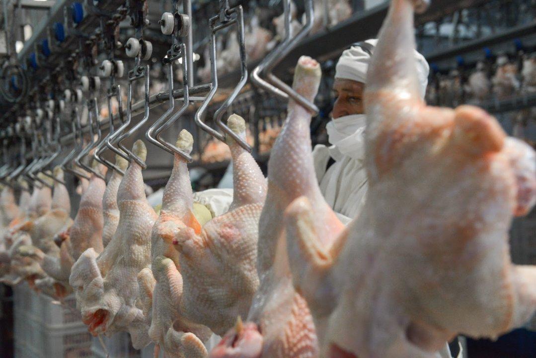 El pollo hace historia en la mesa de los argentinos- ya supera a la carne vacuna en consumo