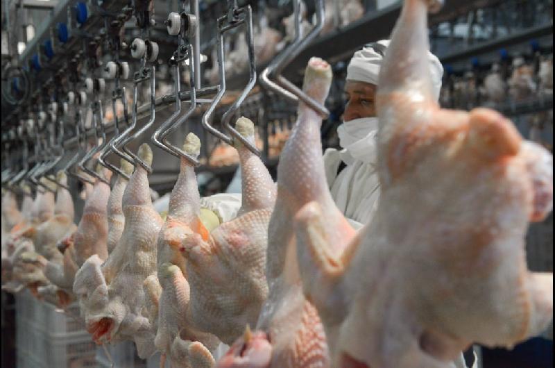 El pollo hace historia en la mesa de los argentinos- ya supera a la carne vacuna en consumo
