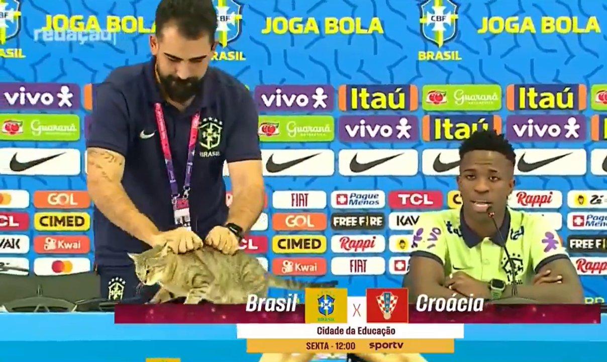 La ldquomaldicioacuten del gatordquo volvioacute a golpear a Brasil tras otro fracaso histoacuterico