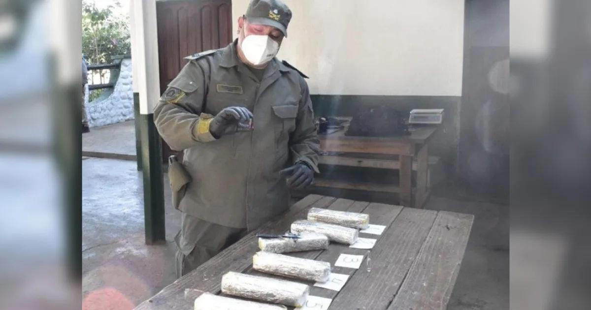 La perra Doli descubrioacute cocaiacutena oculta en un tanque de nafta