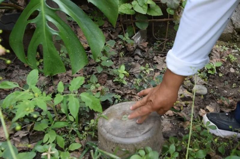 Nuevo operativo de descacharrado en barrios capitalinos