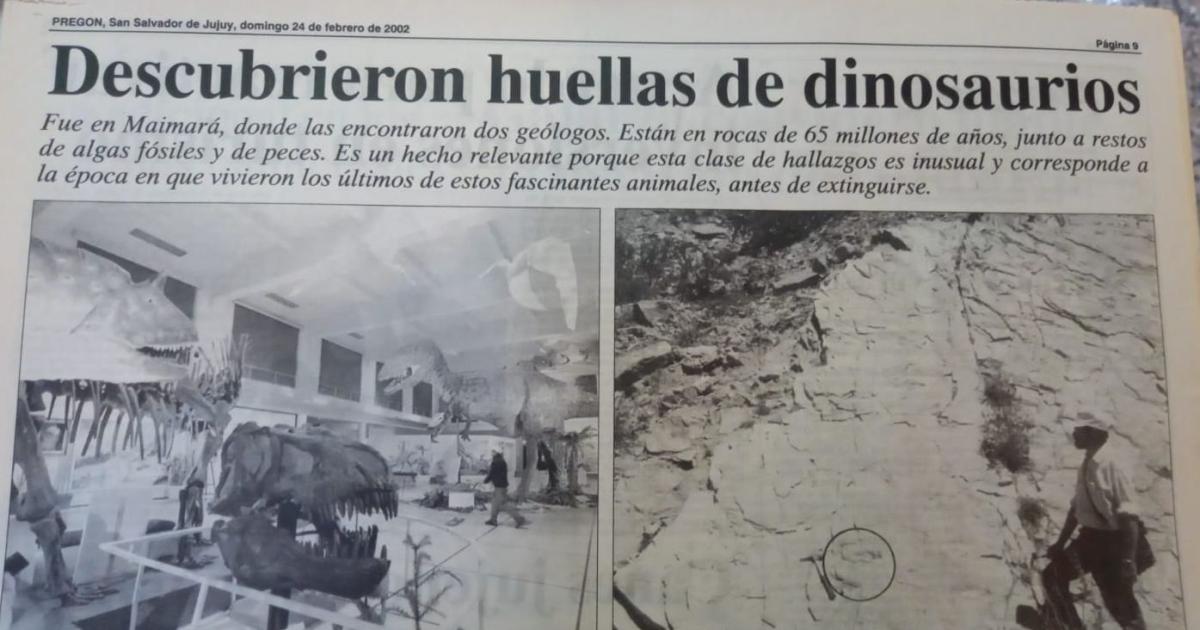 Pagina de PREGON
