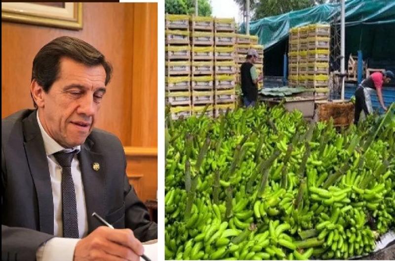 Sadir salioacute en defensa de la produccioacuten bananera jujentildea