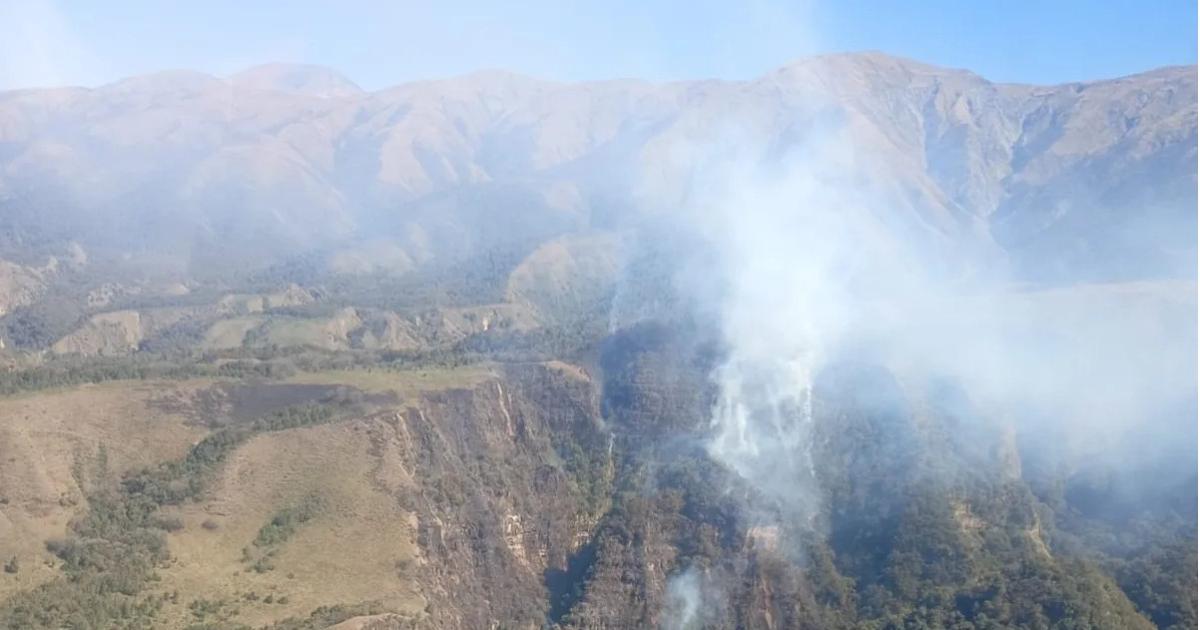 Los brigadistas contuvieron el incendio forestal en Tiraxi Chico