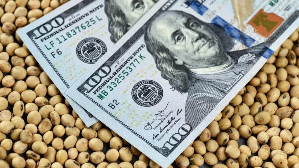 Pese a la cosecha reacutecord el campo liquidoacute menos- los detalles del informe