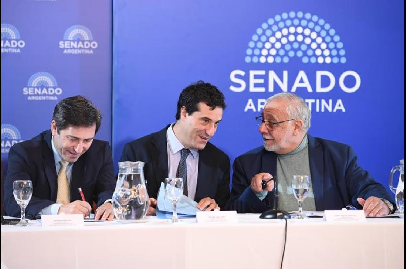 El Senado haraacute dos audiencias puacuteblicas para evaluar a 25 candidatos a la Justicia uno vinculado al Chiquildquo Tapia