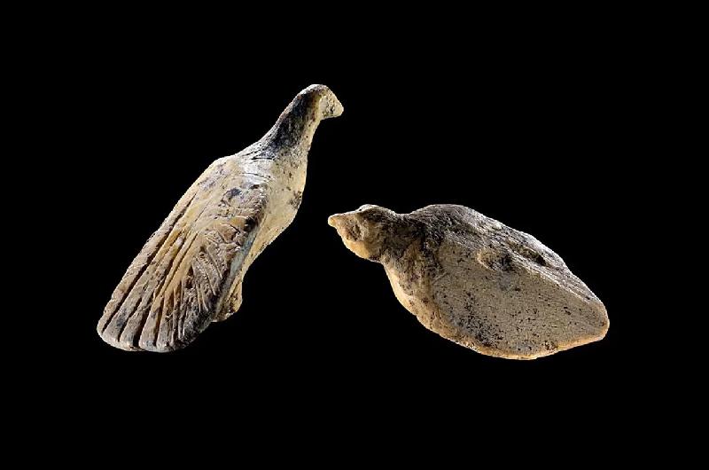 Ineacutedito- hallan figuras talladas en un diente de mamut de 40000 antildeos en una cueva de Alemania