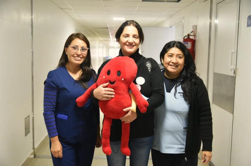 Ablacioacuten multiorgaacutenica en el Hospital Pablo Soria