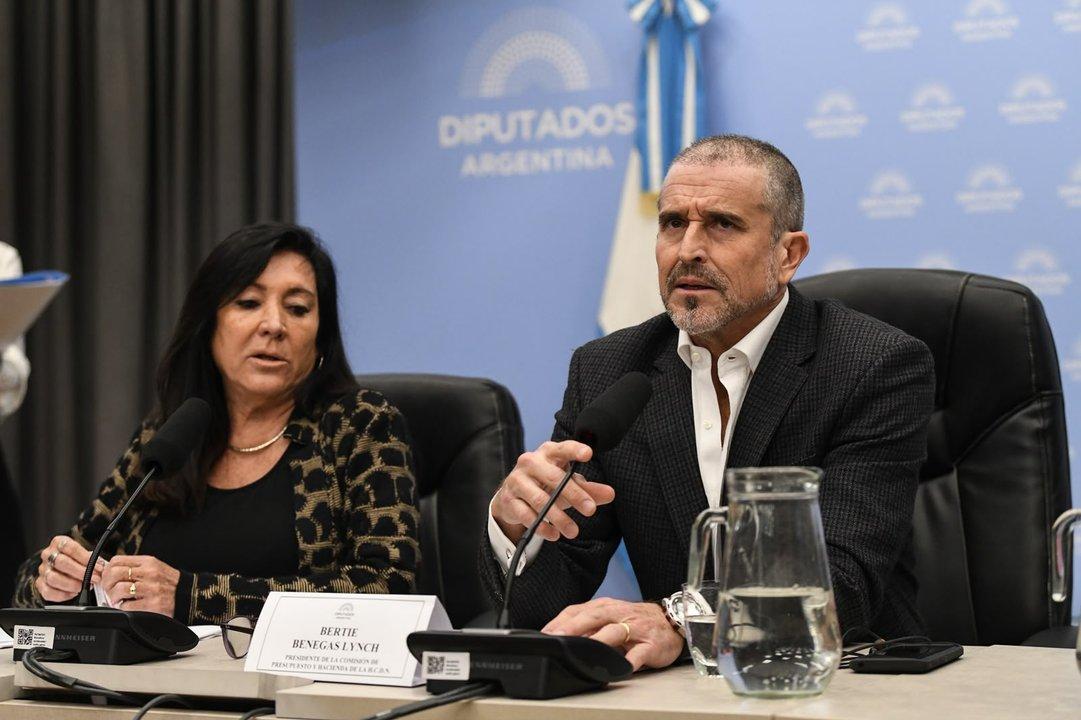 En medio de criacuteticas opositoras el Gobierno defendioacute en Diputados la nueva Ley de Inocencia Fiscal 