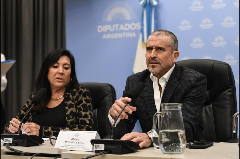 En medio de criacuteticas opositoras el Gobierno defendioacute en Diputados la nueva Ley de Inocencia Fiscal 