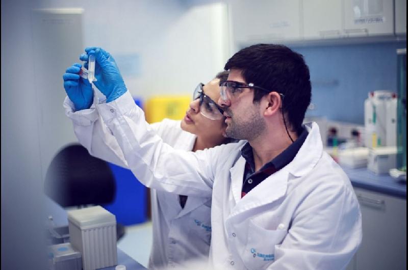 Australia- estudiaron un meacutetodo contra el caacutencer cerebral agresivo