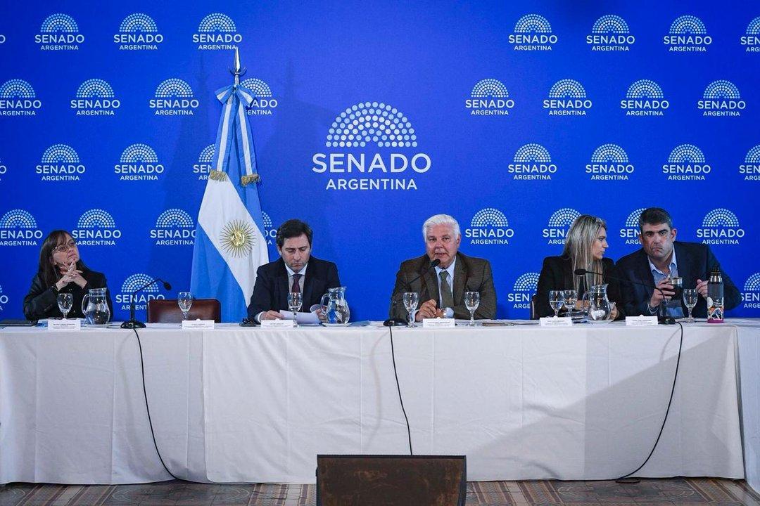 El Senado inicia el debate del Suacuteper RIGI para atraer inversiones en tecnologiacutea y minerales criacuteticos