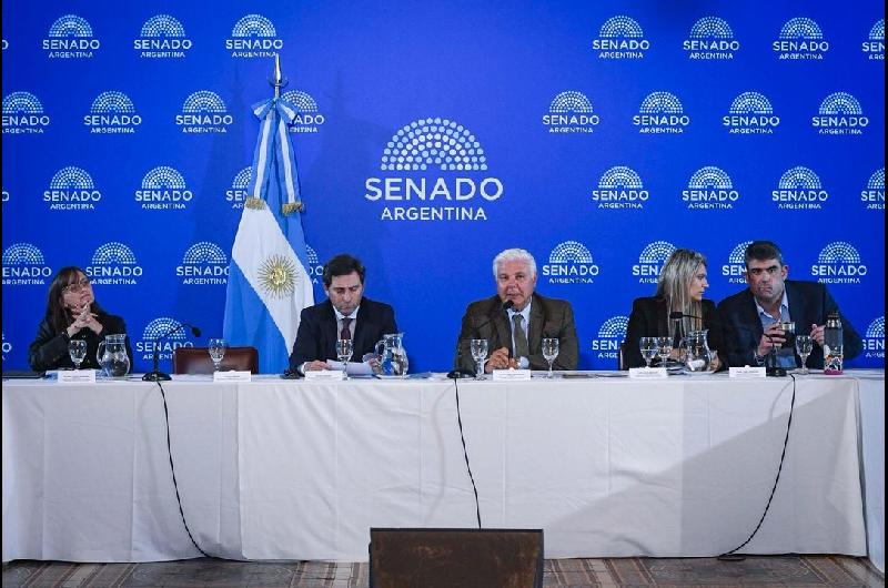El Senado inicia el debate del Suacuteper RIGI para atraer inversiones en tecnologiacutea y minerales criacuteticos