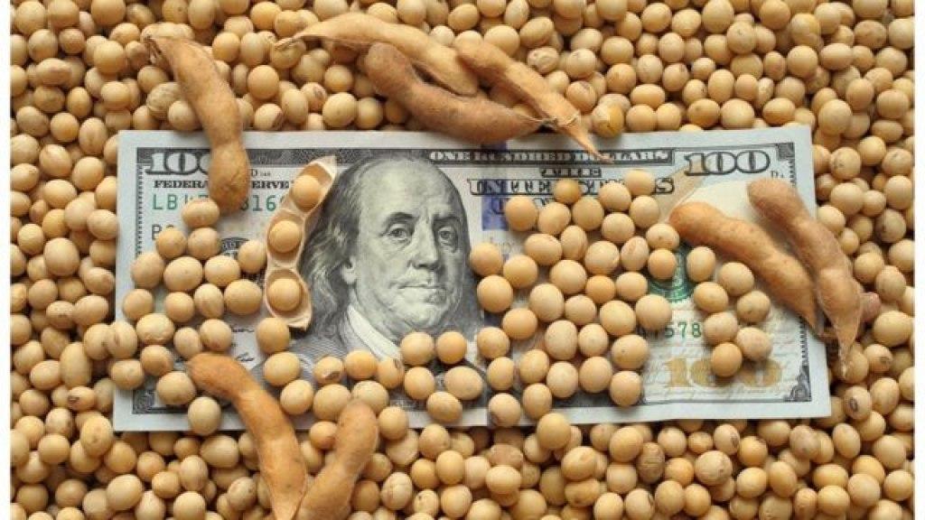 Estiman que el agro aportaraacute US4613 millones por retenciones en 2026