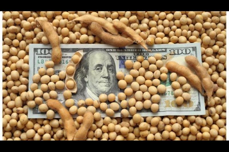 Estiman que el agro aportaraacute US4613 millones por retenciones en 2026
