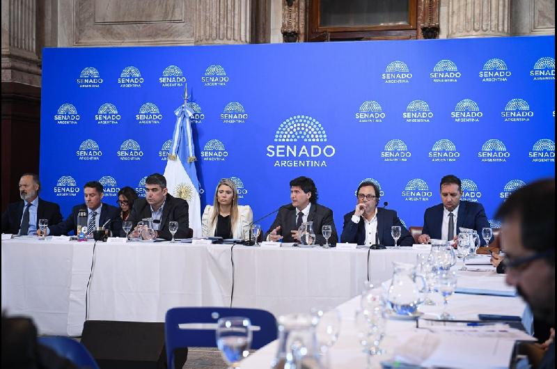 El Senado retomoacute debate sobre reforma de la Ley de Sociedades con foco en automatizacioacuten y menor tutela estatal