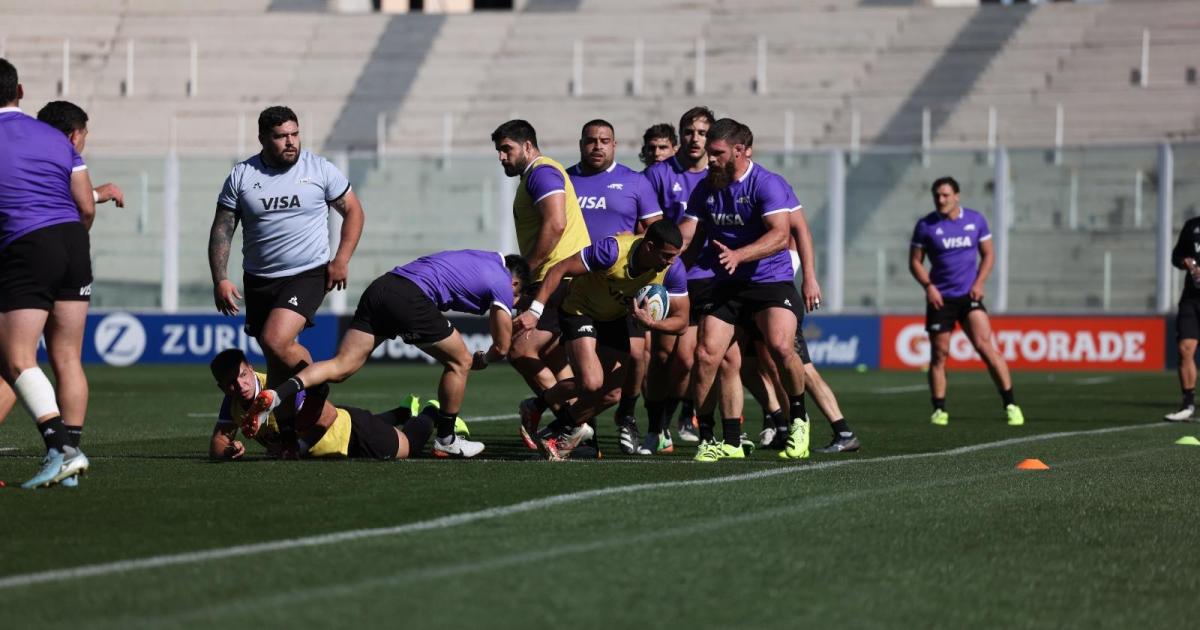 Los Pumas haraacuten un entrenamiento abierto en el 23 de Agosto