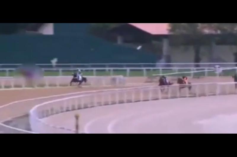 Tragedia en el turf sudamericano- murioacute el jockey Leandro Henrique tras caerse de su caballo en plena carrera