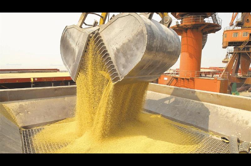 Soja y petroacuteleo fueron los motores de las exportaciones del primer semestre