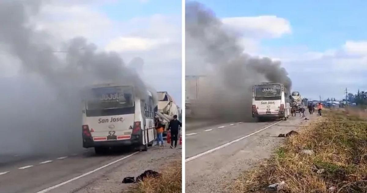 Susto- un colectivo se incendioacute sobre Ruta 66 
