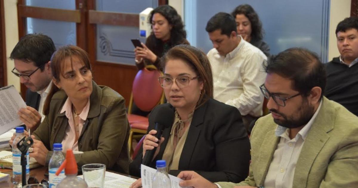 Miembros de la Comisioacuten de Educacioacuten dialogaron con la ministra Daniela Teseira