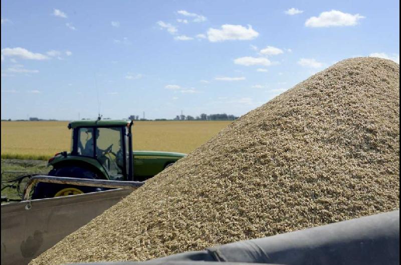 Advierten sobre el riesgo que corre la estrategia argentina de orientarse a los commodities