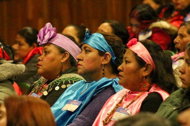 Comunidades pudieron expresarse en el Encuentro Provincial de Mujeres Indiacutegenas