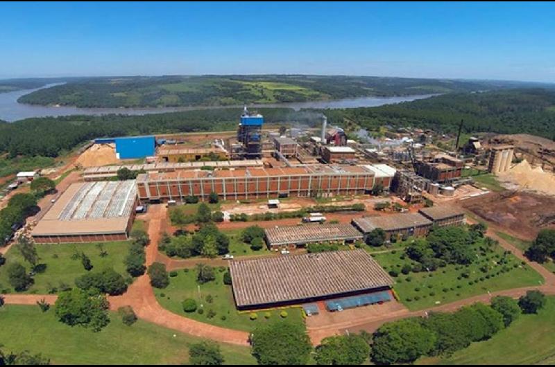 La Corte Suprema determinoacute que es inconstitucional una norma de Misiones sobre la industria papelera