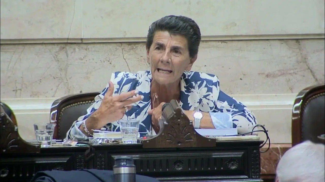 Patricia Vaacutesquez defendioacute la construccioacuten de la Base Naval Integrada y criticoacute al kirchnerismo