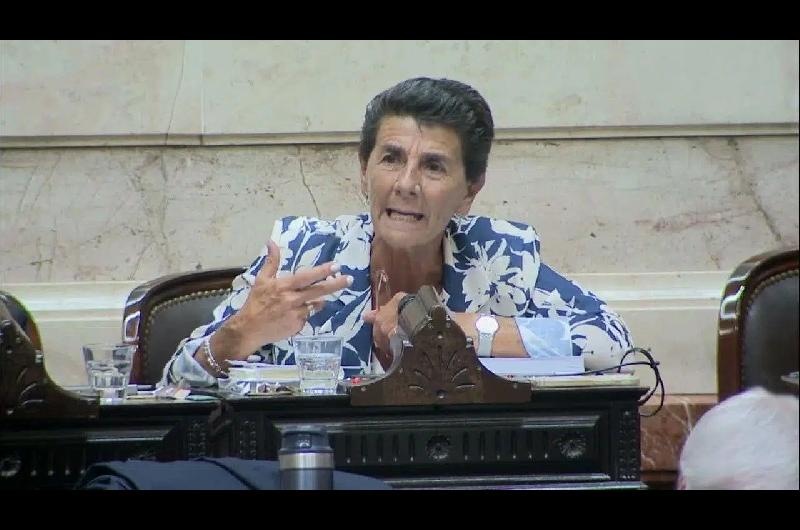 Patricia Vaacutesquez defendioacute la construccioacuten de la Base Naval Integrada y criticoacute al kirchnerismo