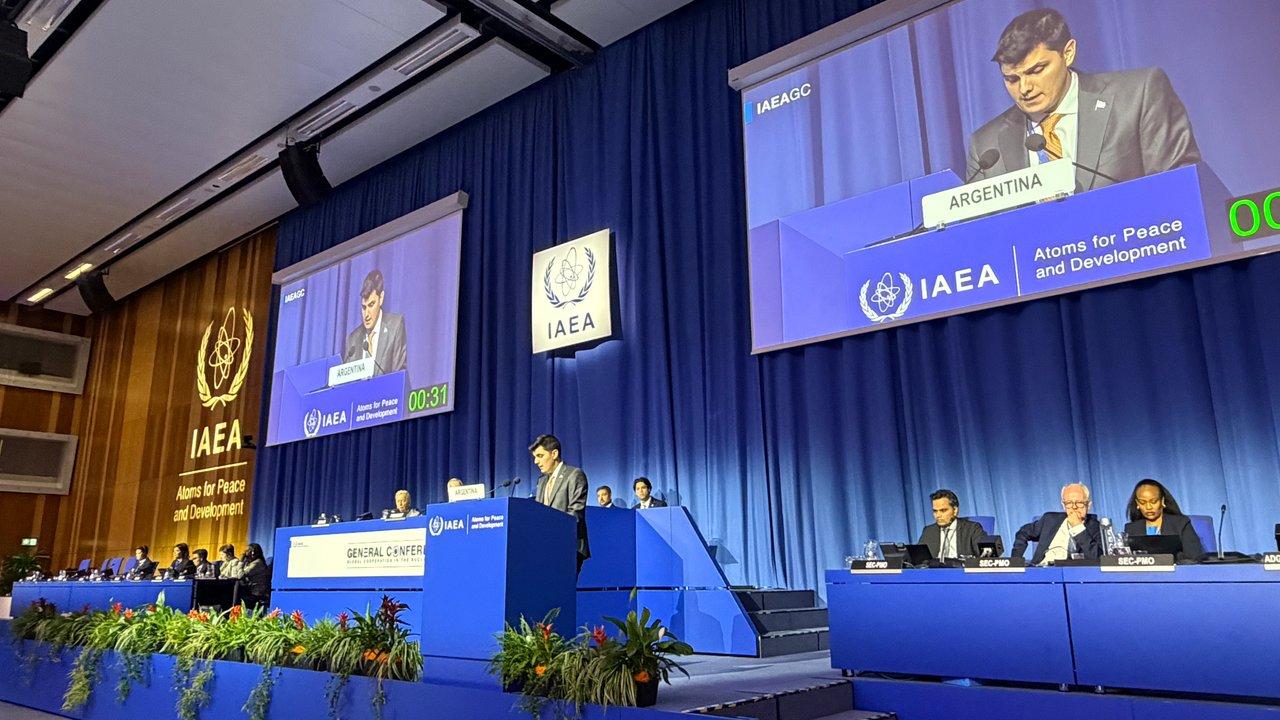 Ramos Napoli presentoacute en Viena la estrategia argentina para expandir el sector nuclear en el mercado mundial