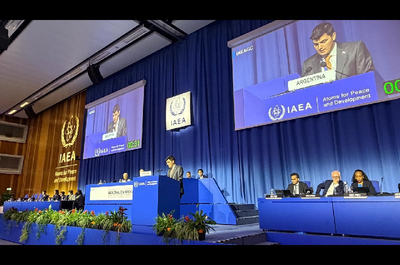 Ramos Napoli presentoacute en Viena la estrategia argentina para expandir el sector nuclear en el mercado mundial