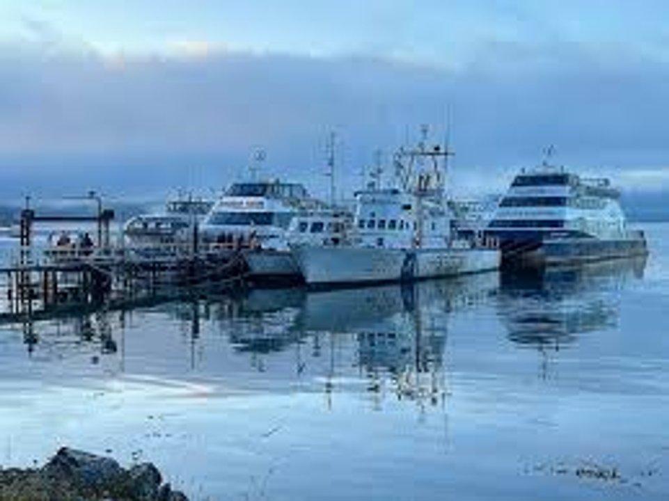 Turismo alertoacute por seis semanas sin clases y una crisis portuaria en Tierra del Fuego