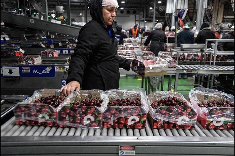 Chile destaca entrada en vigor de acuerdo que facilita exportacioacuten de fruta fresca a China