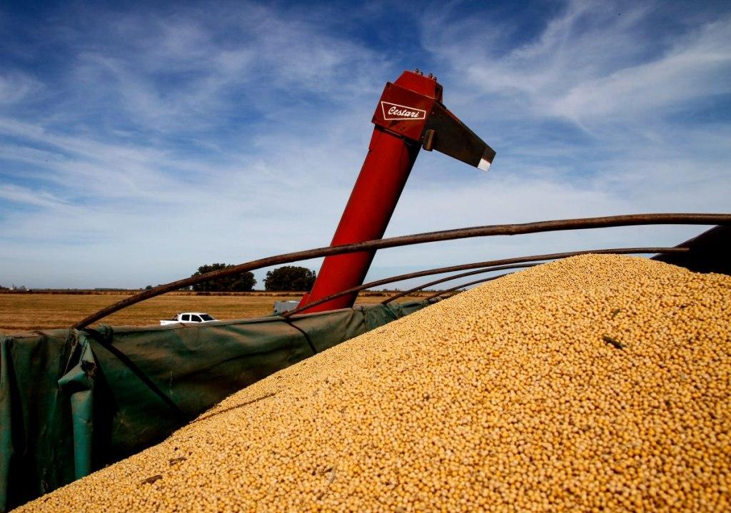 El agro proyecta exportaciones en el mayor nivel de la historia al totalizar US42200 millones
