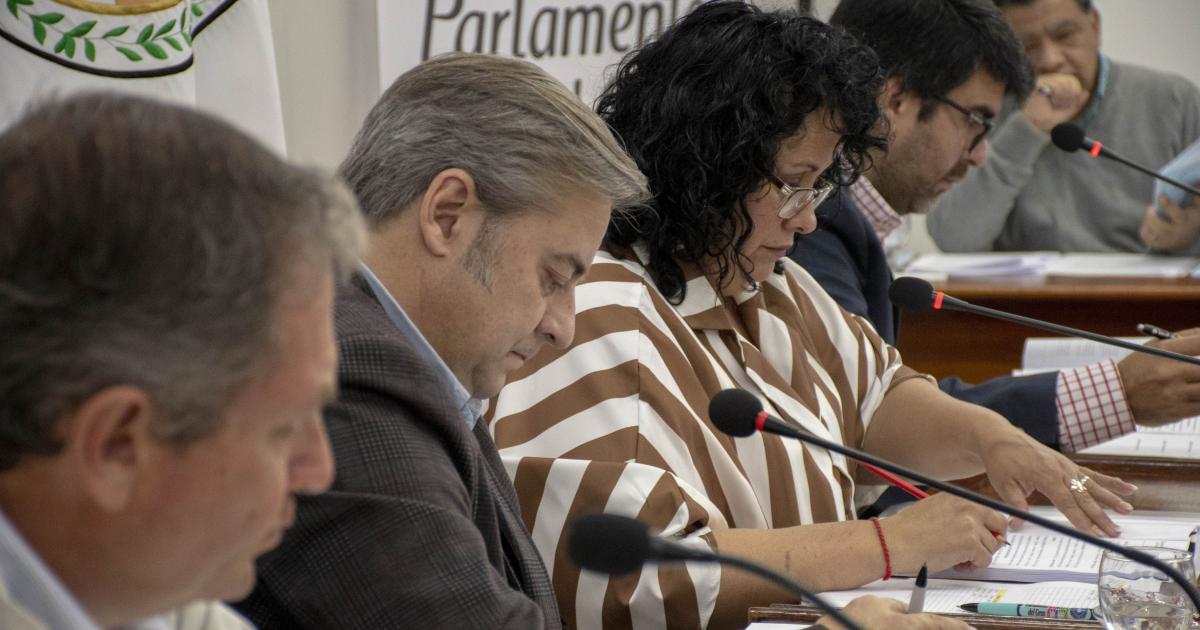 El Parlamento del Gran Jujuy inicia el debate de proyectos de intereacutes para la regioacuten