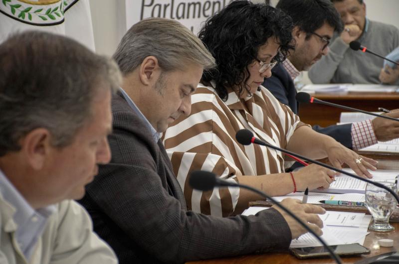 El Parlamento del Gran Jujuy inicia el debate de proyectos de intereacutes para la regioacuten