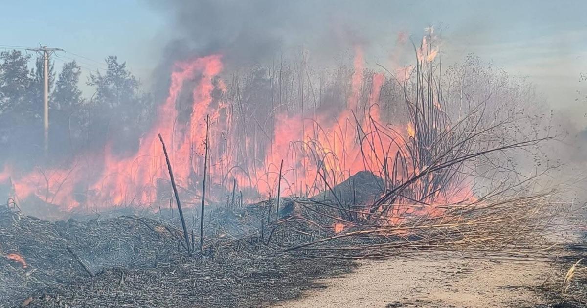 Alerta por incendios forestales debido a las altas temperaturas