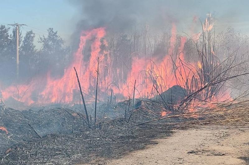 Alerta por incendios forestales debido a las altas temperaturas