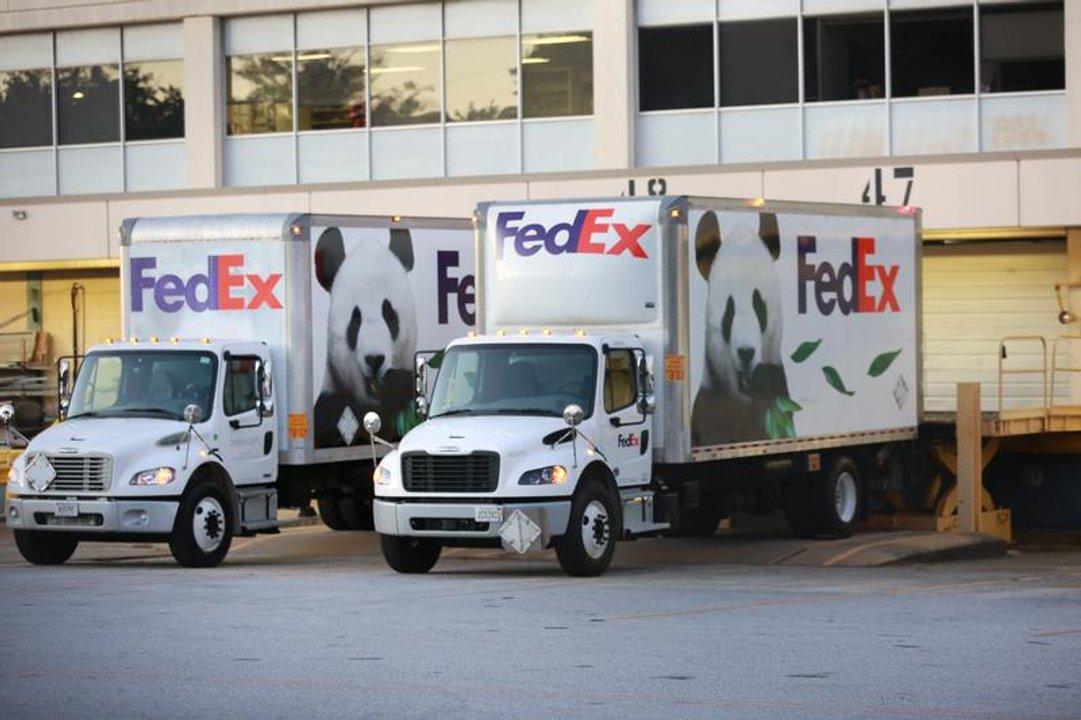 Dos pandas gigantes chinos llegan a la ciudad estadounidense de Atlanta
