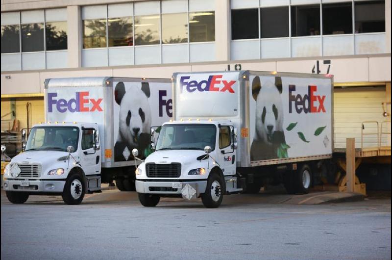 Dos pandas gigantes chinos llegan a la ciudad estadounidense de Atlanta