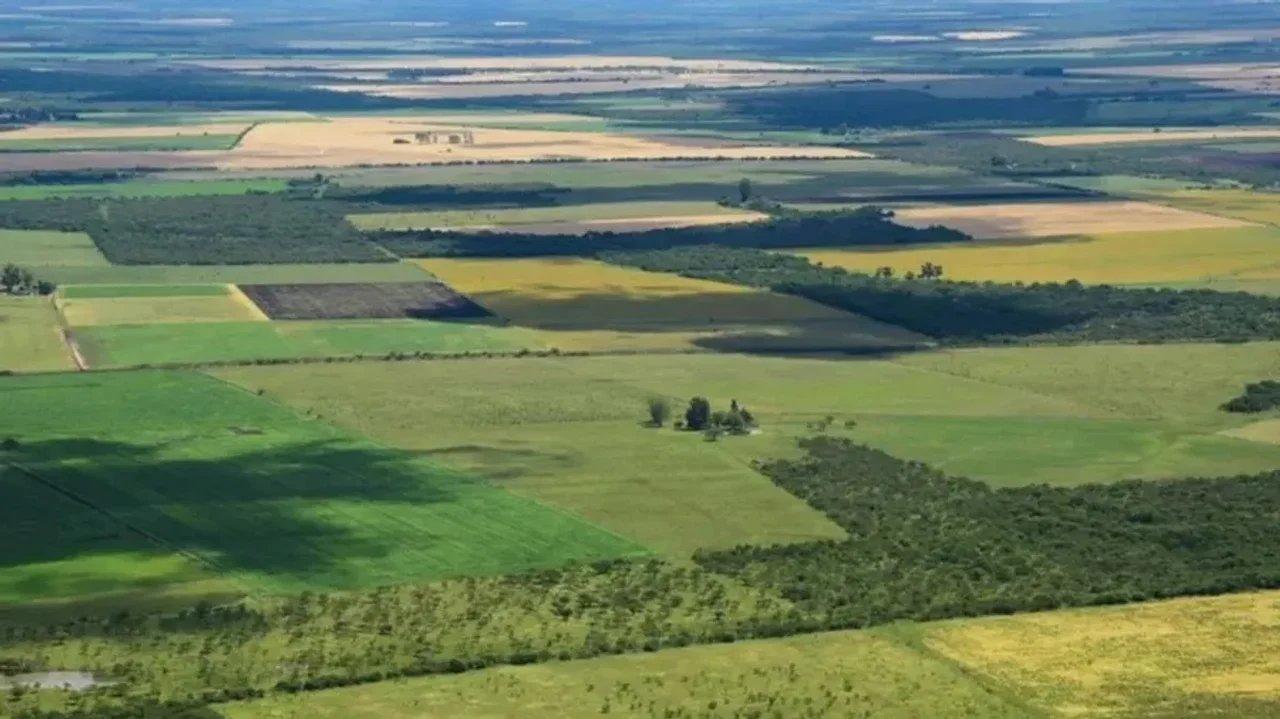 La Corte revocoacute el fallo que declaraba inconstitucional la derogacioacuten de la Ley de Tierras