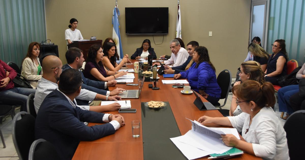 La Comisioacuten de Asuntos Sociales analizoacute un reacutegimen de patrocinio
