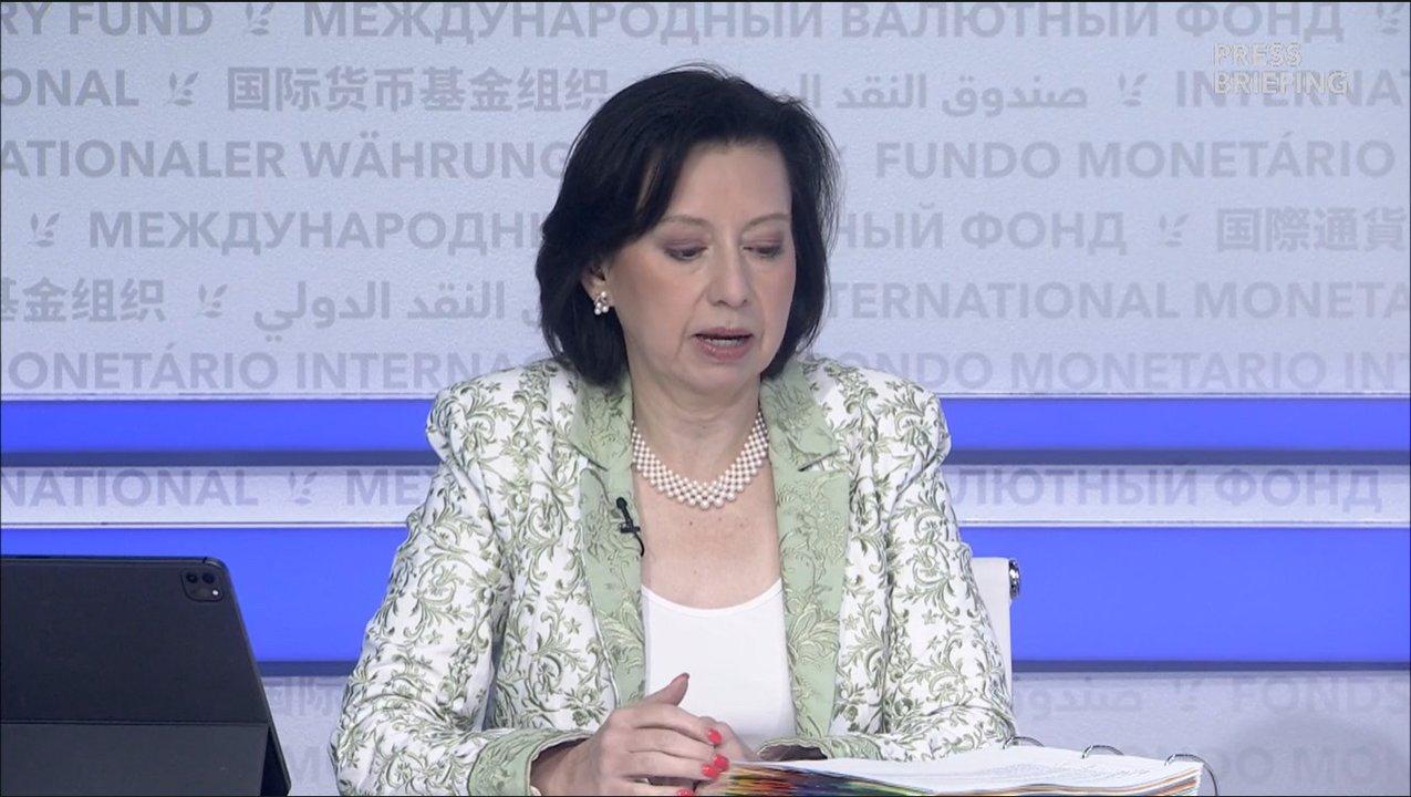 Nuevo respaldo del FMI al plan econoacutemico- pidioacute sostener el rumbo 