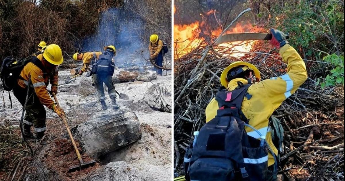 En septiembre se registraron 101 incendios forestales y Ambiente refuerza la prevencioacuten